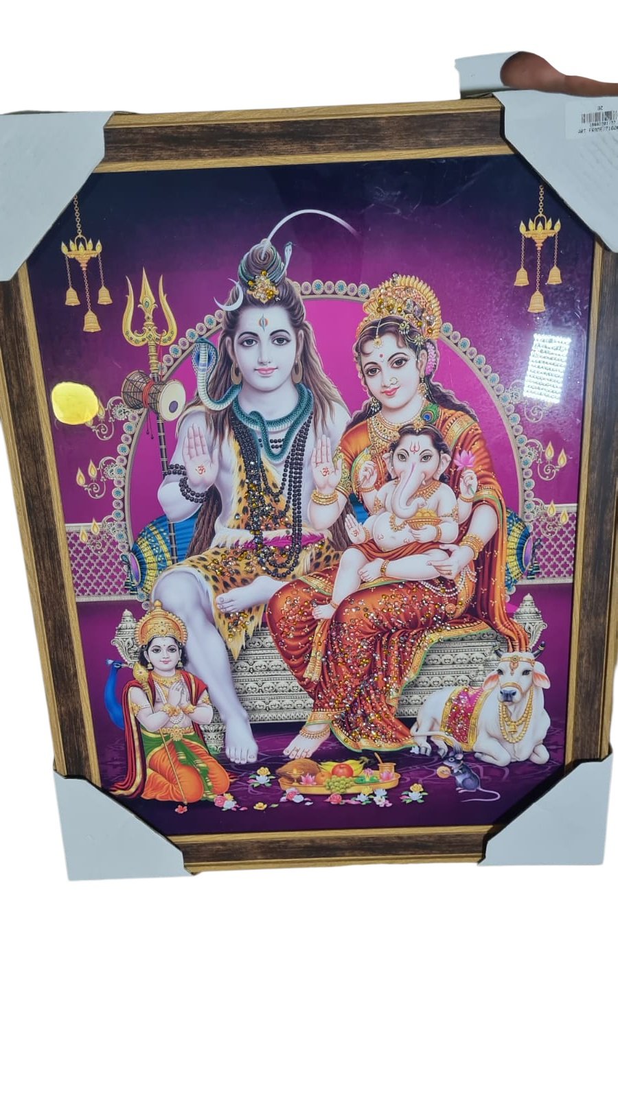 Shiv pariwar